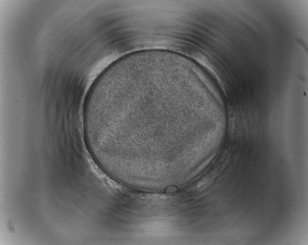 X0000102381088200808221756