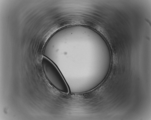 X0000102381089200808221756