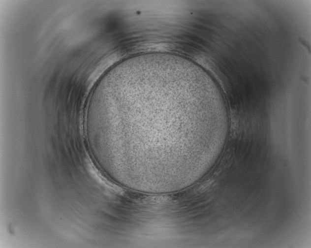 X0000102381090200808221756