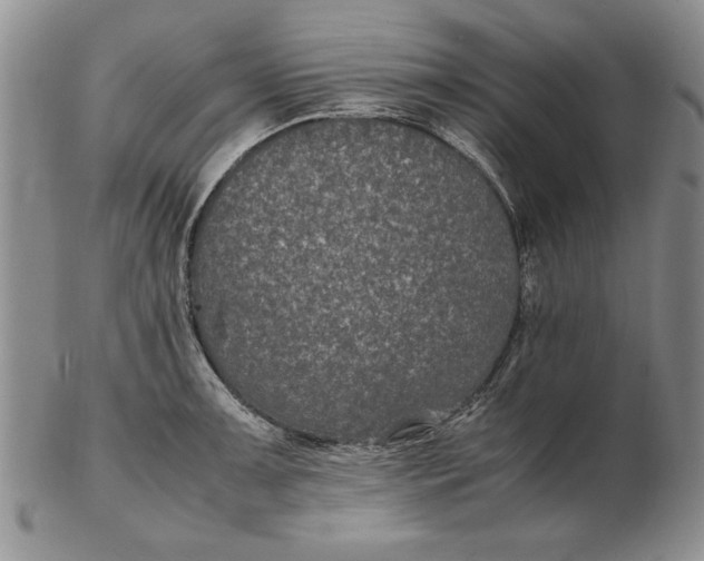 X0000102381091200808221756