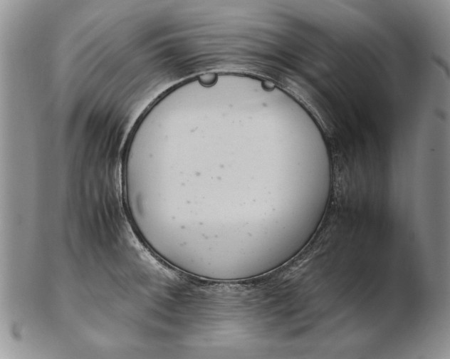 X0000102381092200808221756