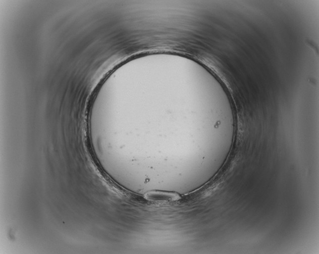 X0000102381093200808221756