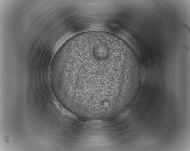 X0000102381094200808221756