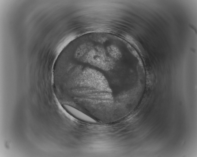 X0000102381095200808221756