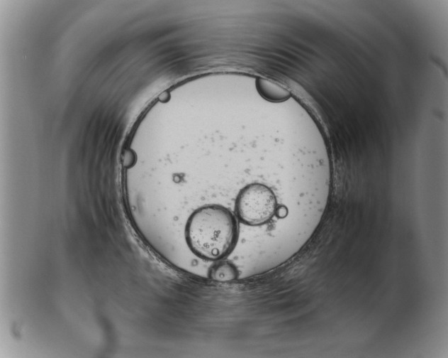 X0000102381096200808221756