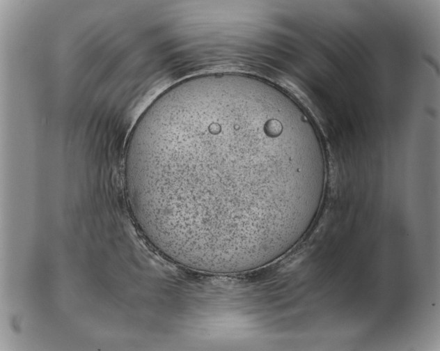 X0000102381097200808221756