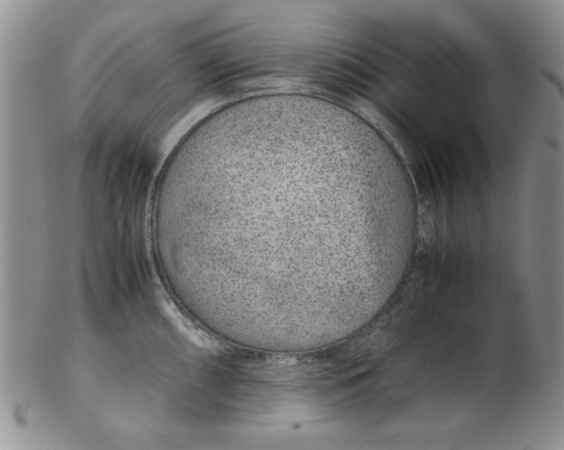 X0000102381098200808221756