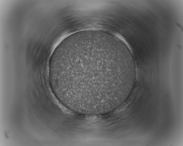 X0000102381099200808221756