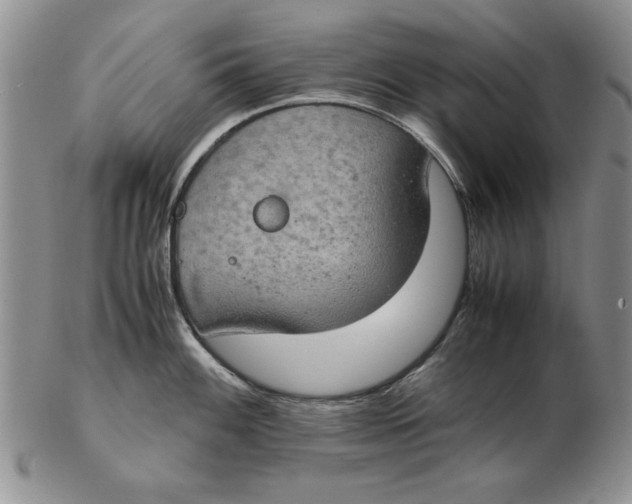 X0000102381100200808221756