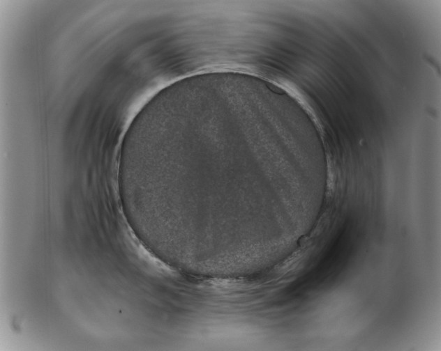 X0000102381102200808221756