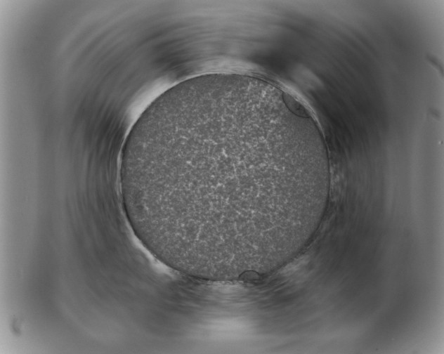 X0000102381103200808221756