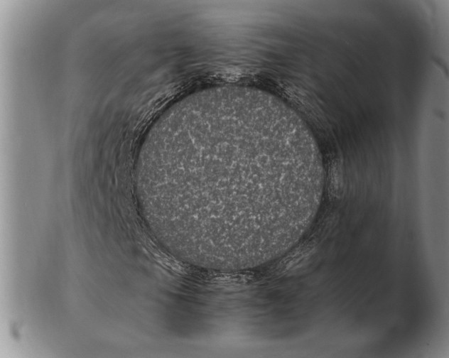 X0000102381105200808221755