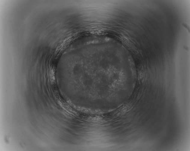 X0000102381106200808221755