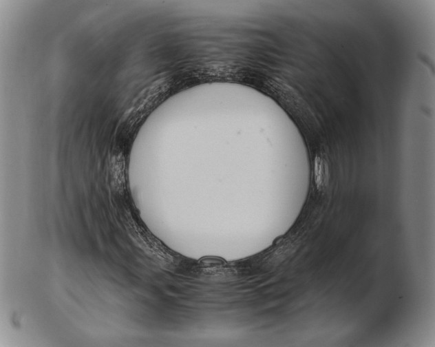 X0000102381107200808221755