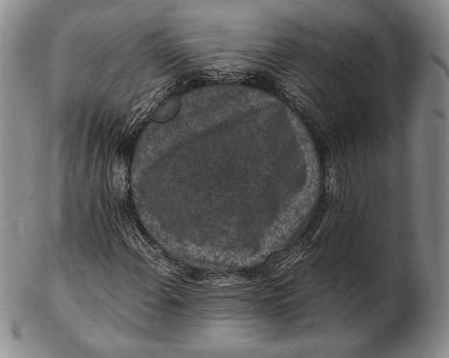 X0000102381108200808221755