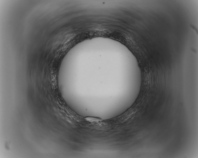 X0000102381109200808221755