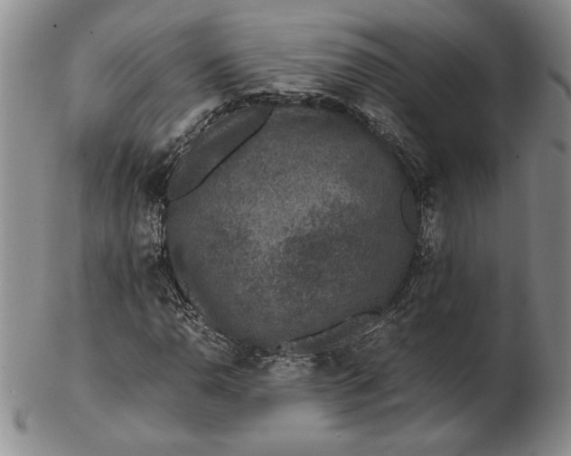 X0000102381110200808221755