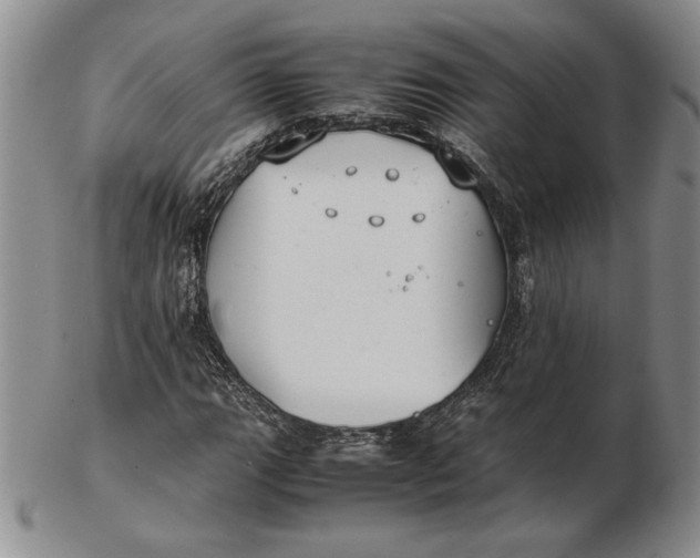 X0000102381111200808221756