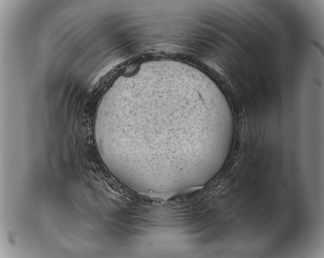 X0000102381112200808221756