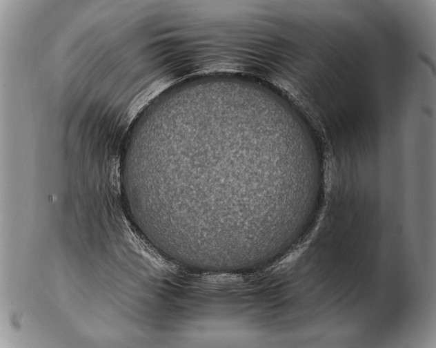 X0000102381113200808221756