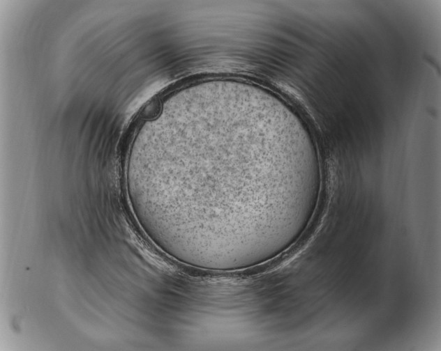 X0000102381114200808221756