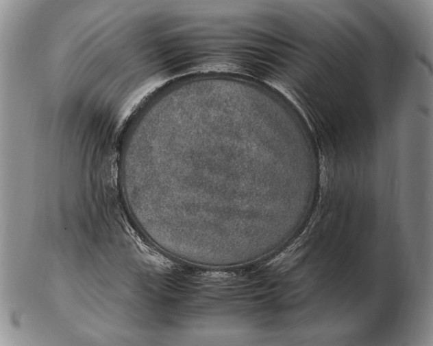 X0000102381115200808221756