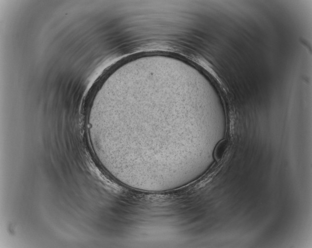 X0000102381116200808221756