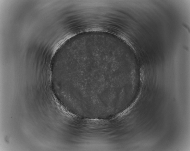 X0000102381117200808221756