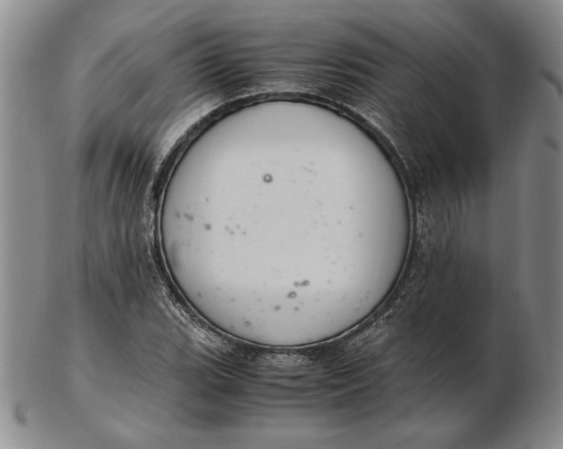 X0000102381119200808221756