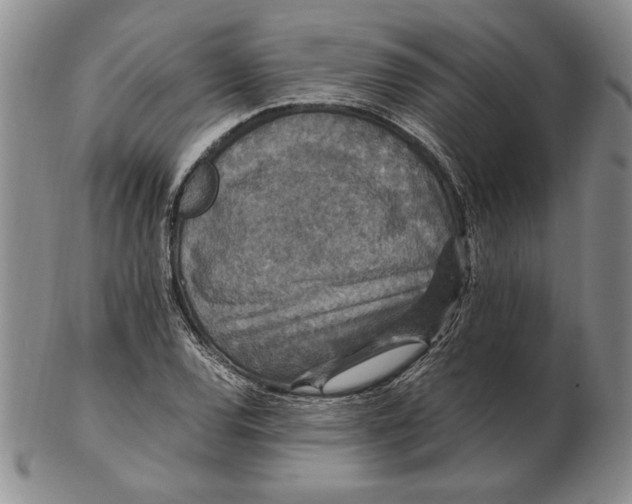 X0000102381120200808221756