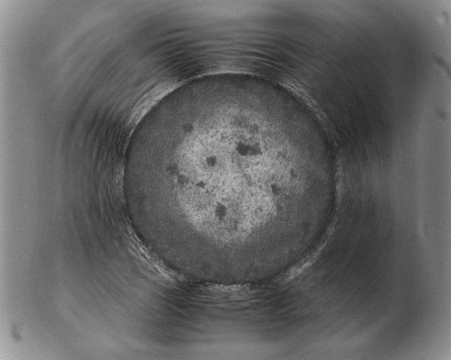 X0000102381121200808221756