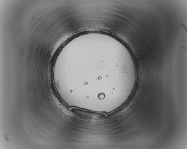 X0000102381122200808221756