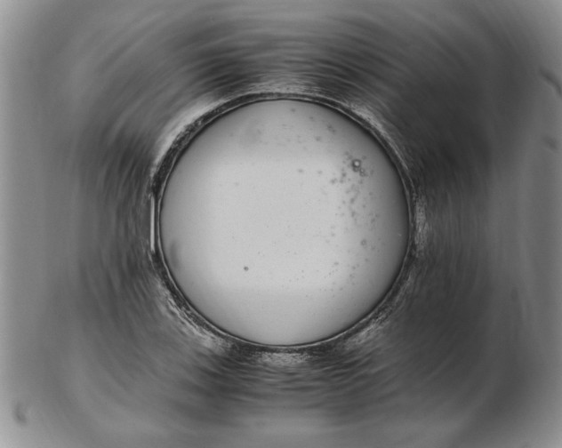 X0000102381123200808221756