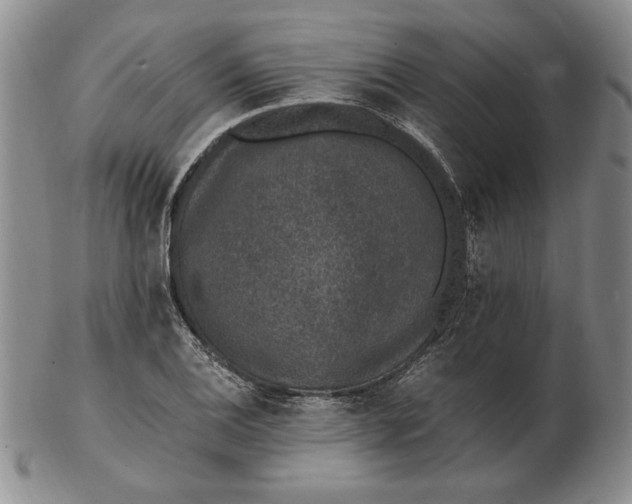 X0000102381124200808221756