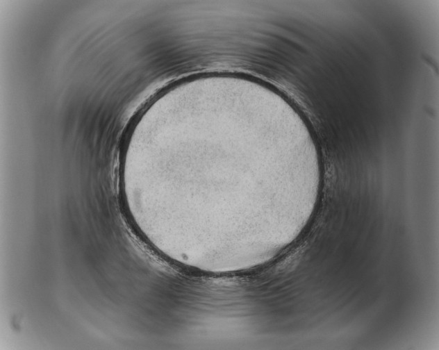 X0000102381126200808221756