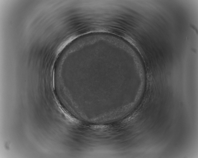 X0000102381127200808221756