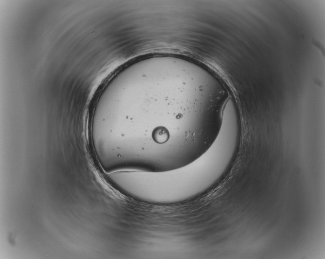 X0000102381128200808221756