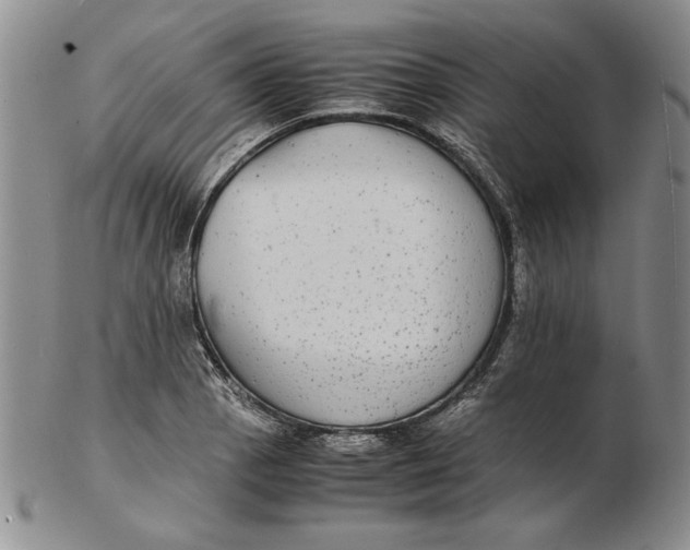 X0000102381129200808221756