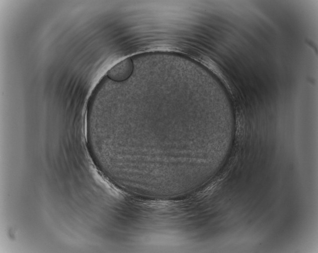 X0000102381132200808221756