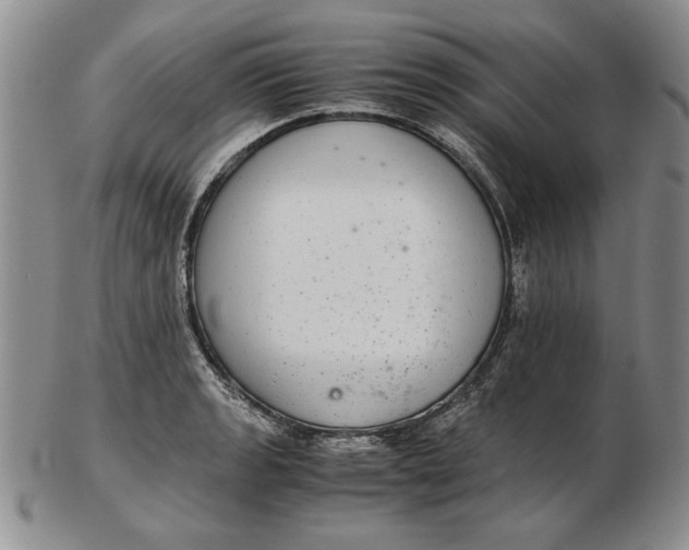 X0000102381133200808221756