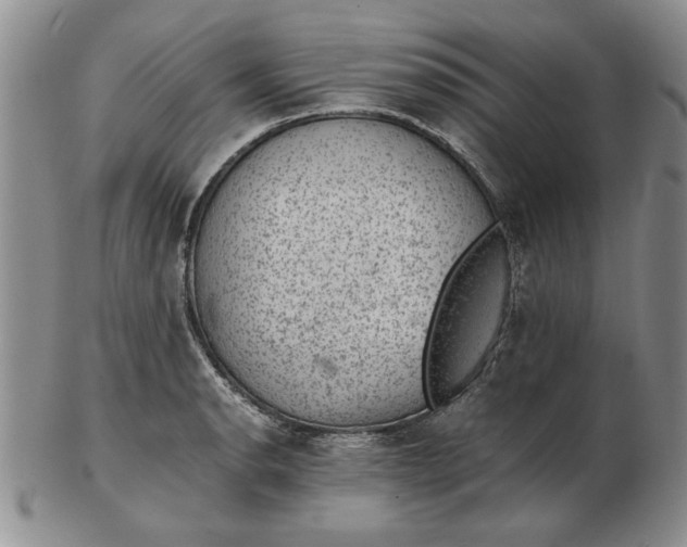 X0000102381134200808221756