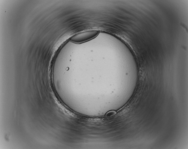 X0000102381135200808221756