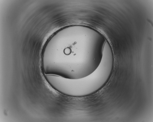 X0000102381136200808221756