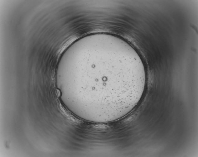 X0000102381137200808221756