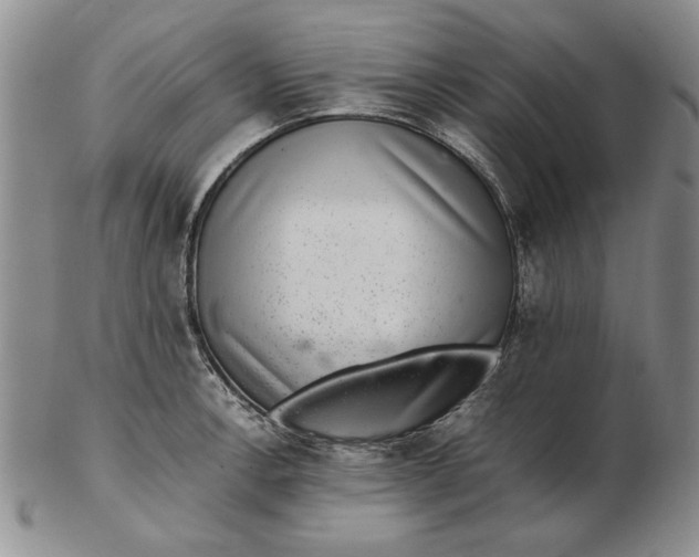 X0000102381138200808221756