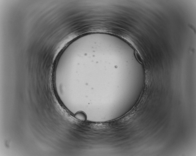 X0000102381139200808221756