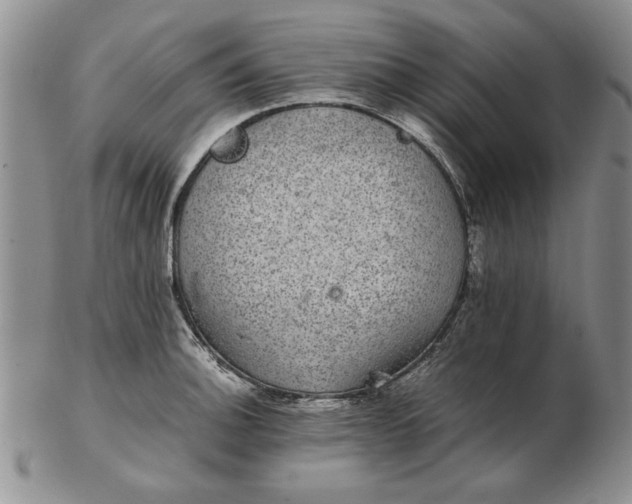 X0000102381140200808221756