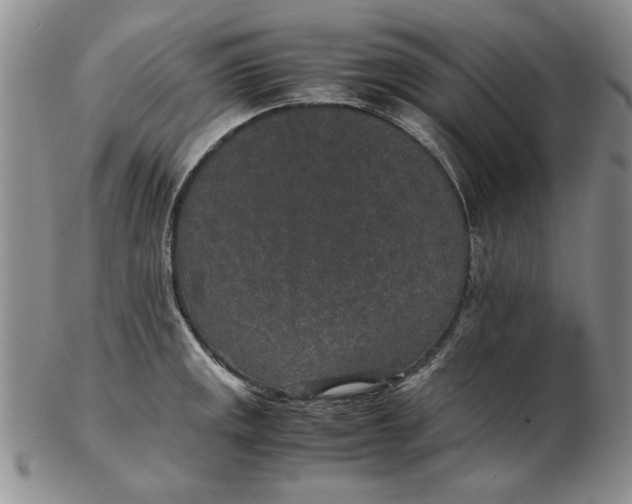 X0000102381141200808221756