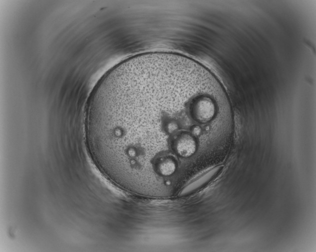 X0000102381142200808221756