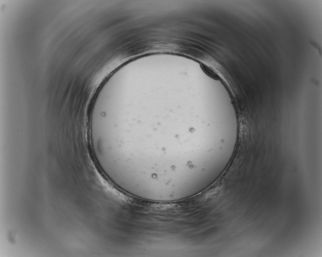 X0000102381143200808221756